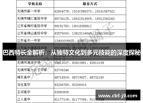 巴西特长全解析：从独特文化到多元技能的深度探秘