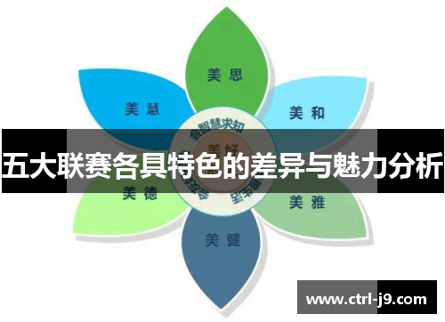 五大联赛各具特色的差异与魅力分析 五大联赛各具特色的差异与魅力分析