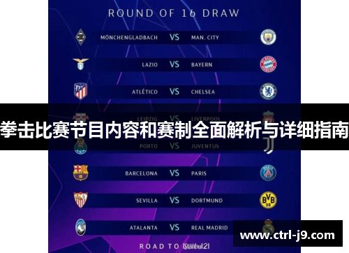 拳击比赛节目内容和赛制全面解析与详细指南